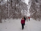 DSCN0868